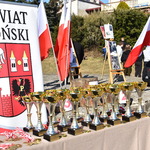 Puchary i flagi biało-czerwone w tle herb powiatu płońskiego.JPG